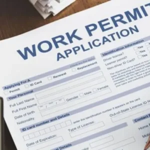 Permit Applications Assistance